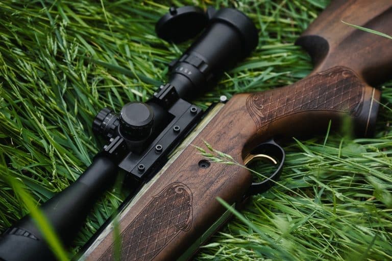 Air Rifles and Pellet Guns Article Image Air Rifles and Pellet Guns Article Image