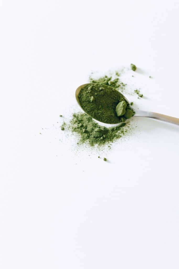 Vegan Protein Powder Vegan Protein Powder